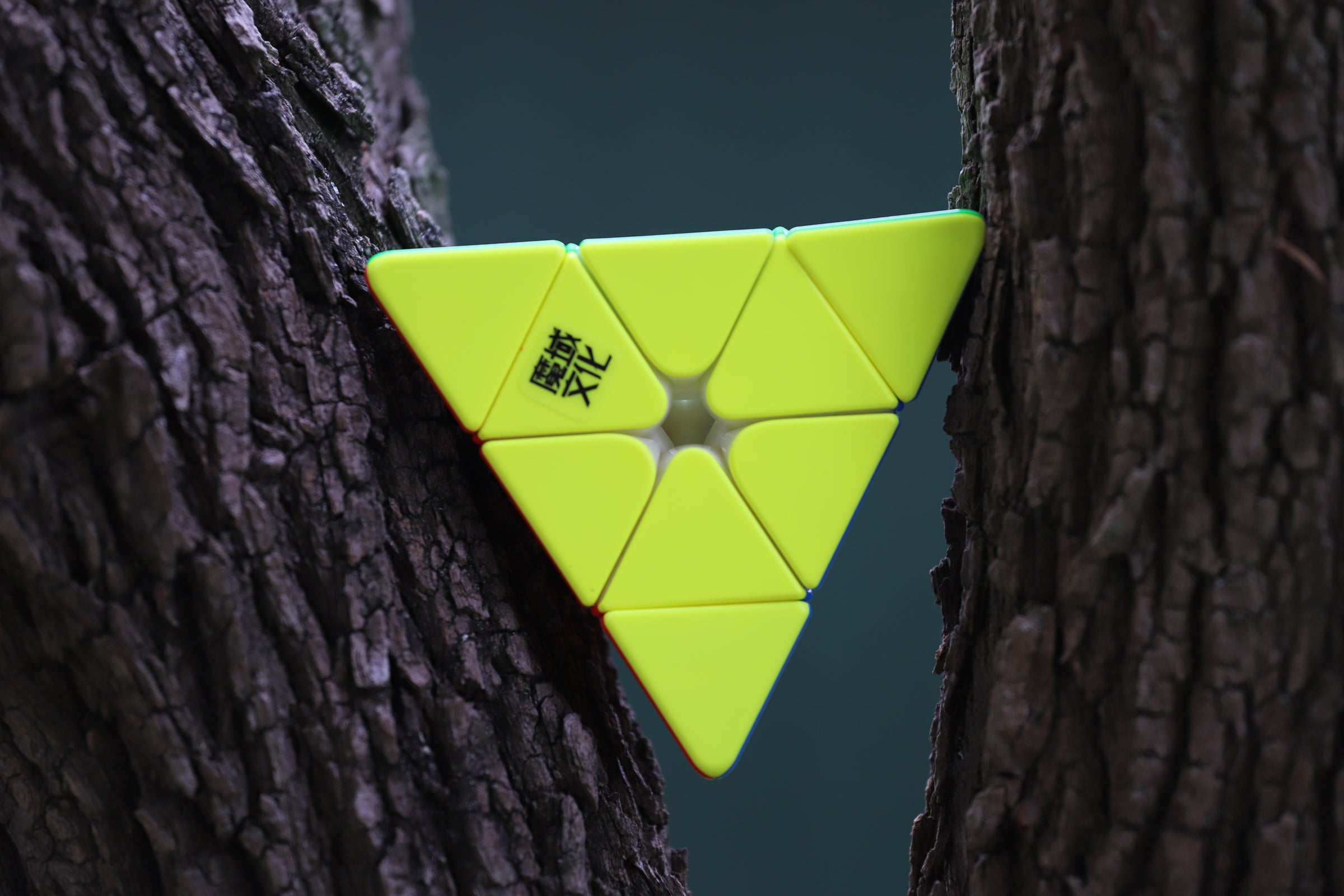 Pyraminx Face Moyu Weilong Pyraminx | Wattlecube